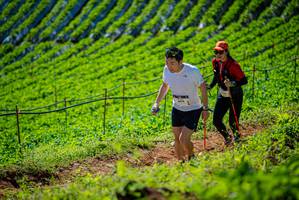 BIB: 604
                            <button type="button" onclick="openModal(19162485)" class="btn btn-primary btn-sm float-right btn-popup" data-toggle="modal" data-target=".modal-high-quality">
                        <i class="fas fa-shopping-cart"></i> Add to Cart
                    </button>
                                            <button type="button" onclick="isThisMe(19162485, true)" class="btn btn-success btn-sm float-right btn-popup btn-isme hidden" data-toggle="tooltip" data-placement="bottom" title="นี่คือรูปของคุณใช่ไหม คลิกที่นี่เพื่อเอาเข้าอัลบั้ม">
                        <i class="fas fa-plus"></i> Add to album
                    </button>
                    <button type="button" onclick="isThisMe(19162485, false)" class="btn btn-warning btn-sm float-right btn-popup btn-isnotme hidden">
                        <i class="fas fa-ban"></i> Remove from album
                    </button>